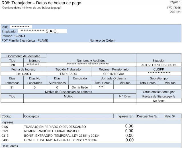 Boleta De Pago